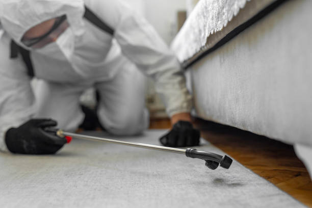 Professional Cockroach Control technician working in Wellington, CO